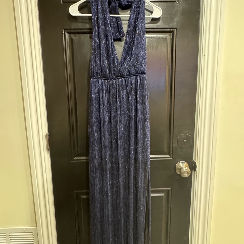 Zara Navy Maxi Dress